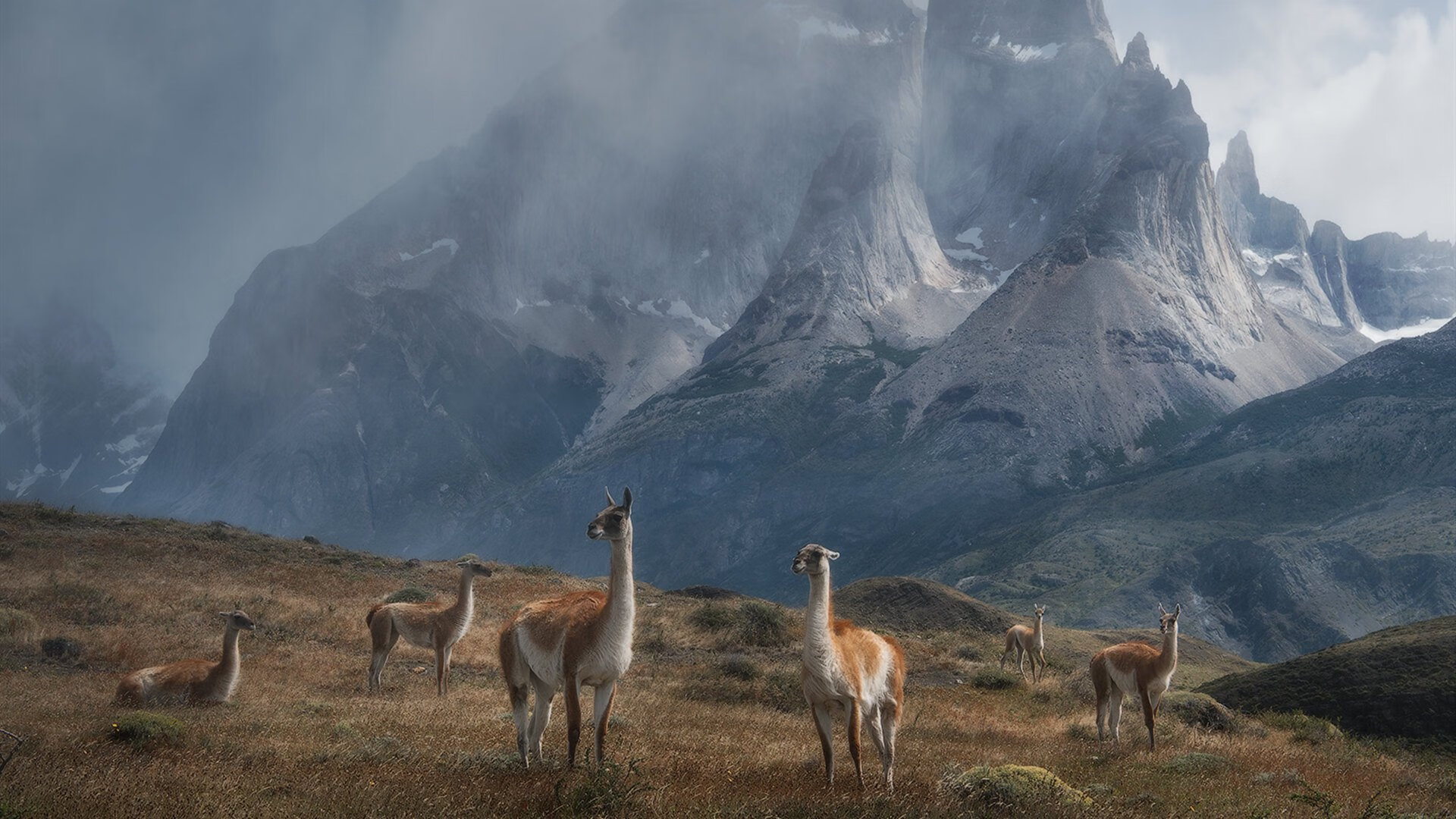 开云体育-地缘政治角力中的绿茵场，2027世界杯卡塔尔的暗涌与佩德里的新王加冕