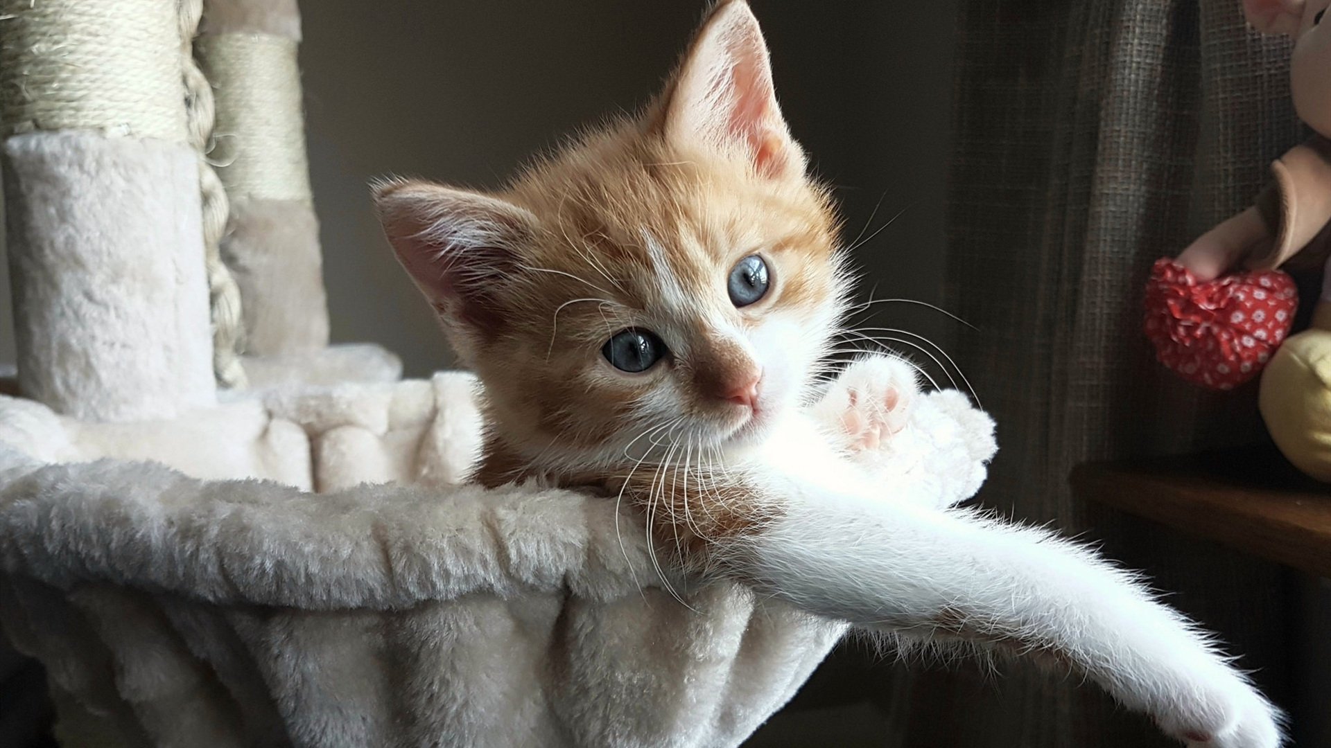 开云APP-一撇凌厉的浓眉，F1街道赛之夜与像素点阵中的水墨筋骨