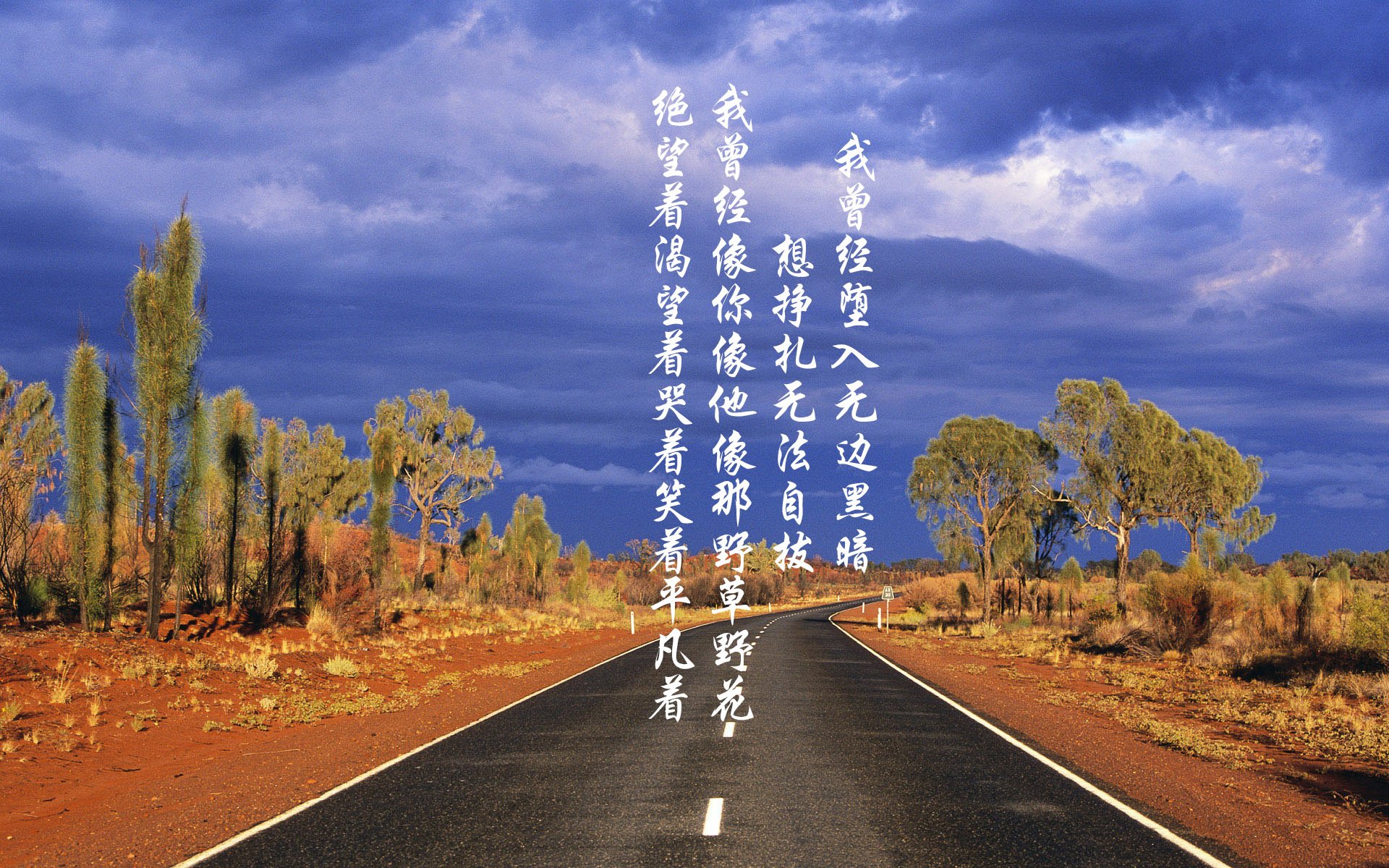 开云-从苏格兰的冷雨夜到特奥的闪耀时，足球世界里，总有人为不可能按下快进键